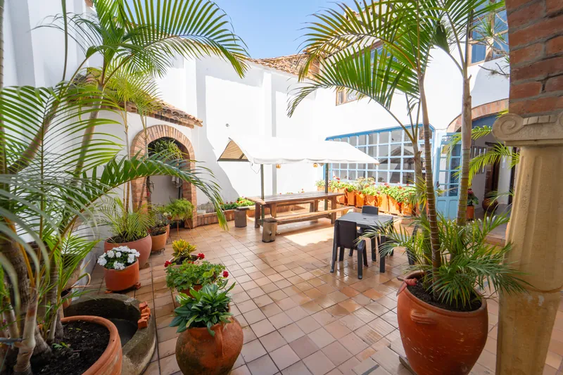 Patio con palmas, macetas de barro y arco de ladrillo